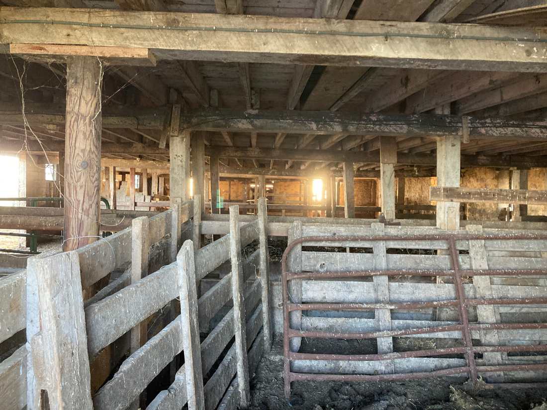 Old Barn, New Tricks