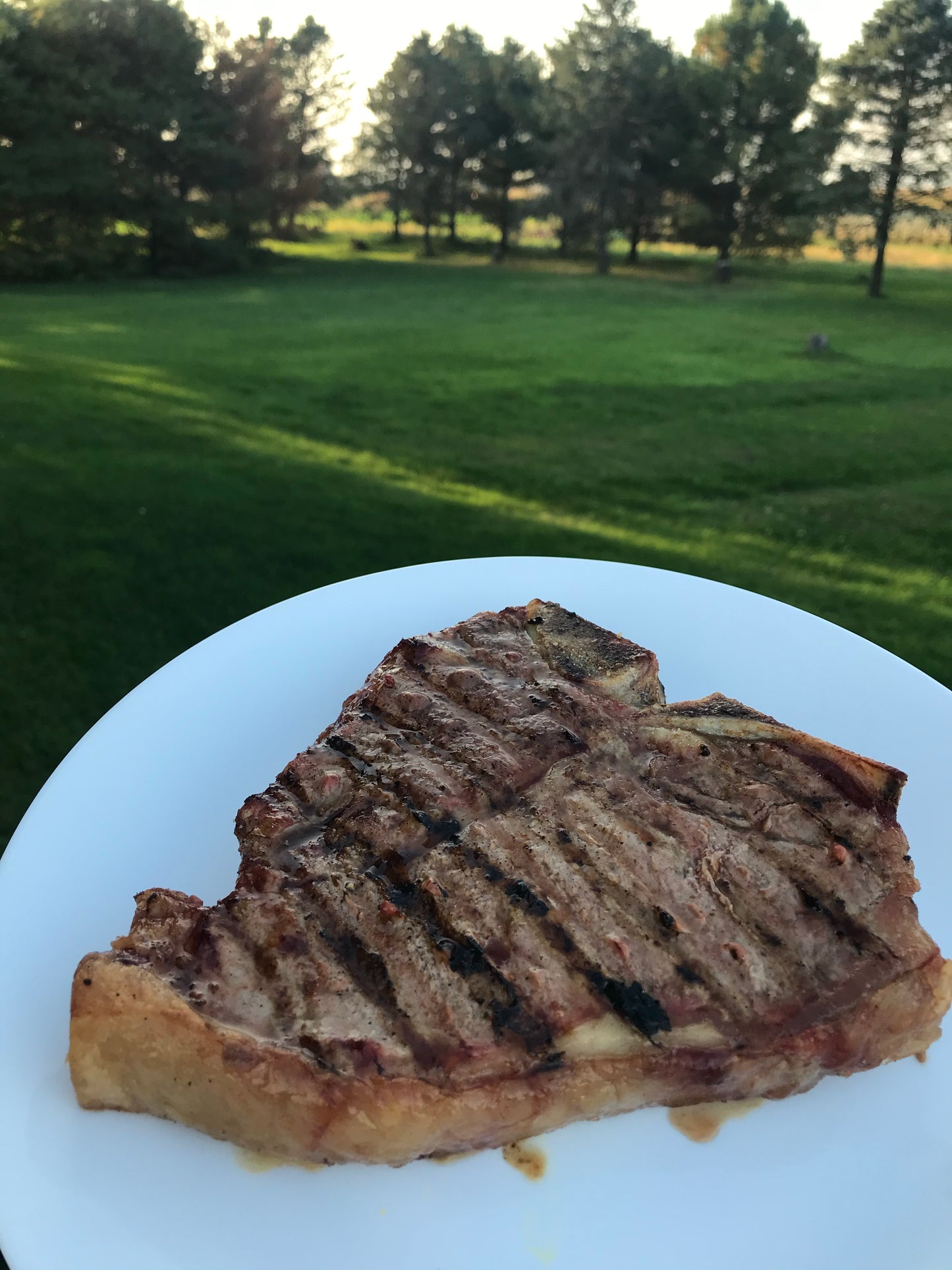 T-Bone Steak